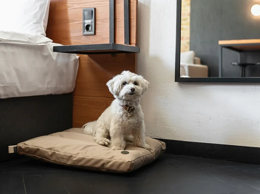 Coussin voyage 5.webp