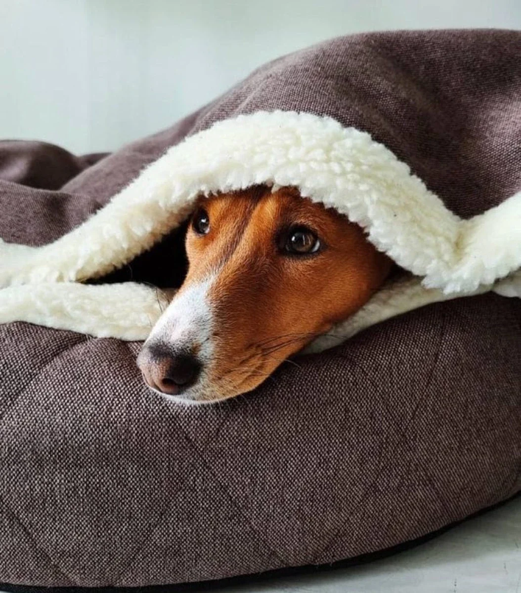 panier ovale couverture integree 2.webp