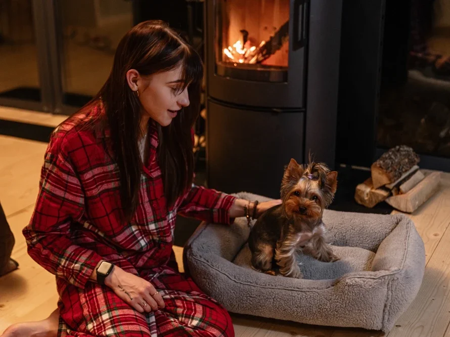 Pet Bed Dreamer Fur gray e 31037090710 711 712 713.webp