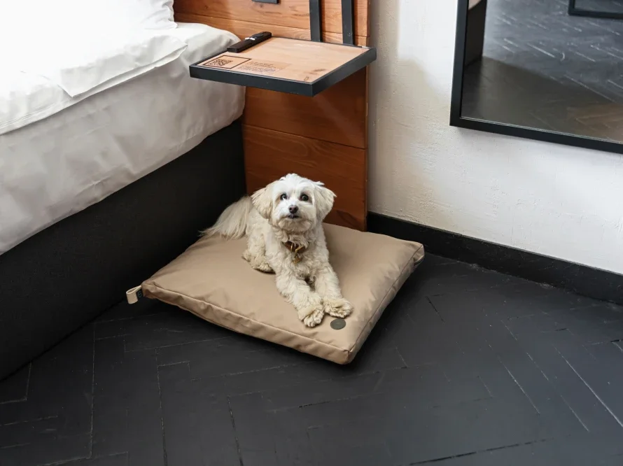 Coussin voyage 2.webp