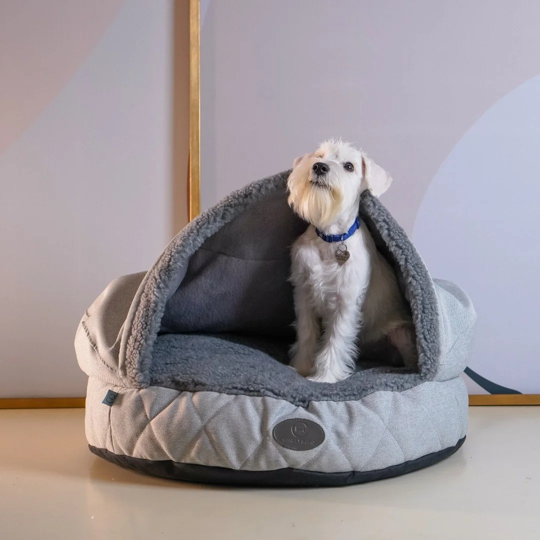 panier couverture incorporee chat 6.jpg