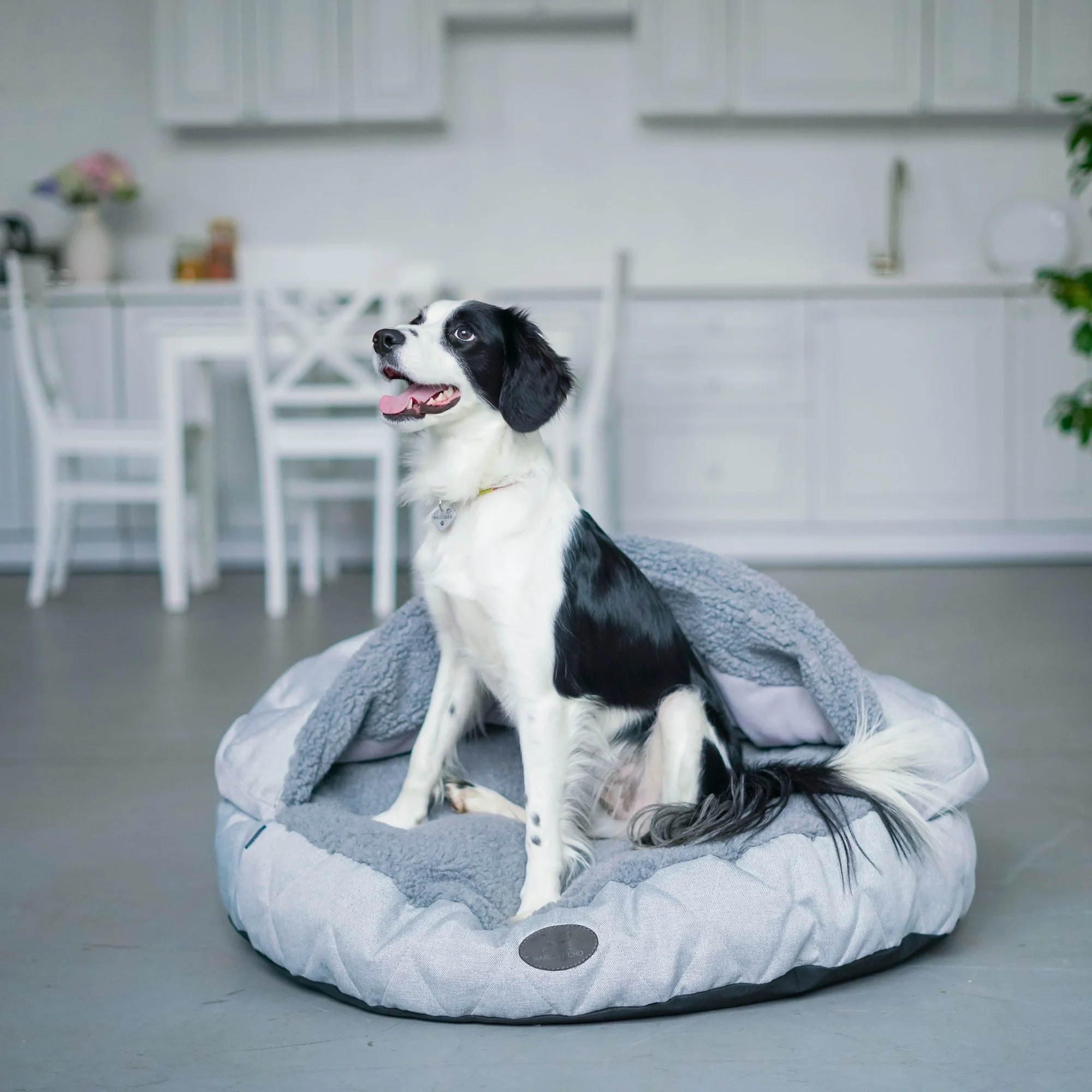 panier couverture incorporee chat 4.JPG