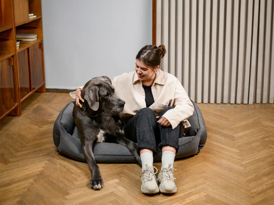 sofia 5.webp (copie)