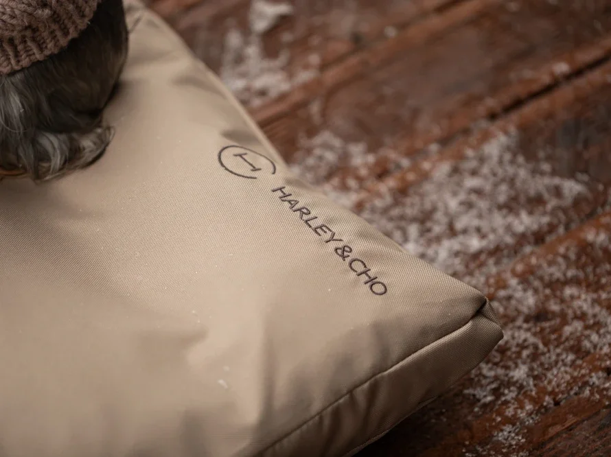 Coussin voyage 9.webp