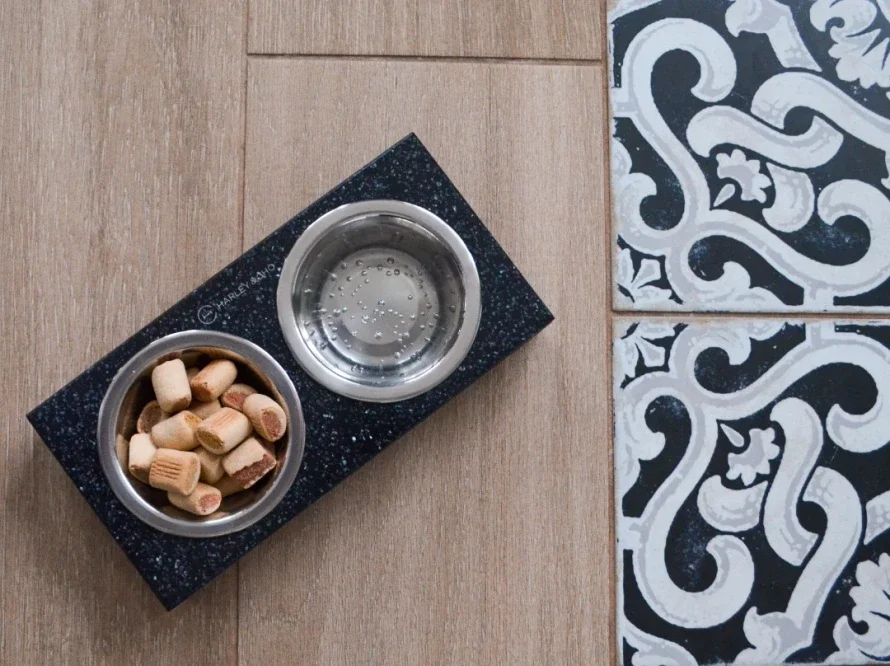 Mangeoire Lunch Bar Stone – Le repas réinventé pour petits chiens et chats