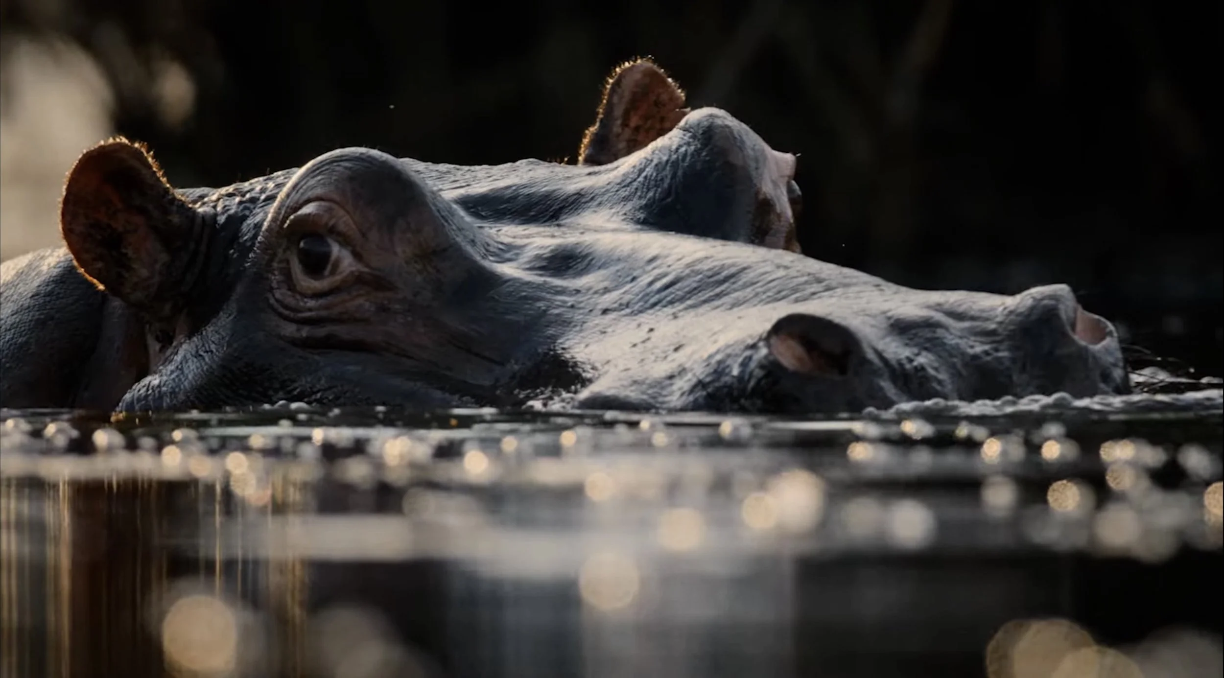 Screenshot 2025-05-12 at 17.49.14.jpg