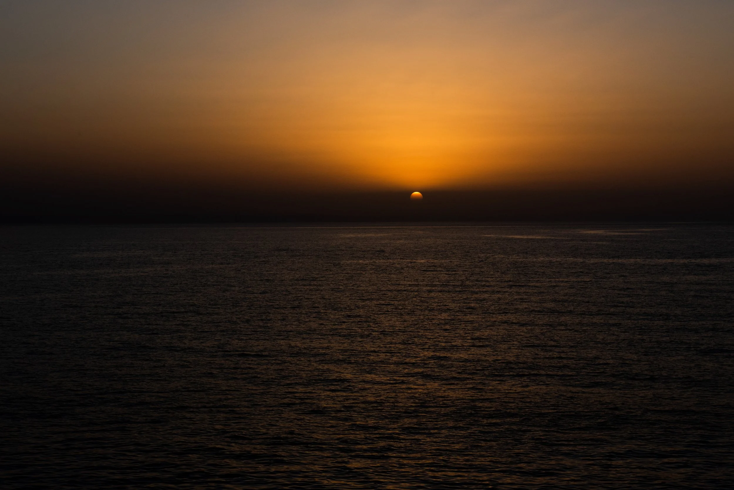 DSC_2979.jpg