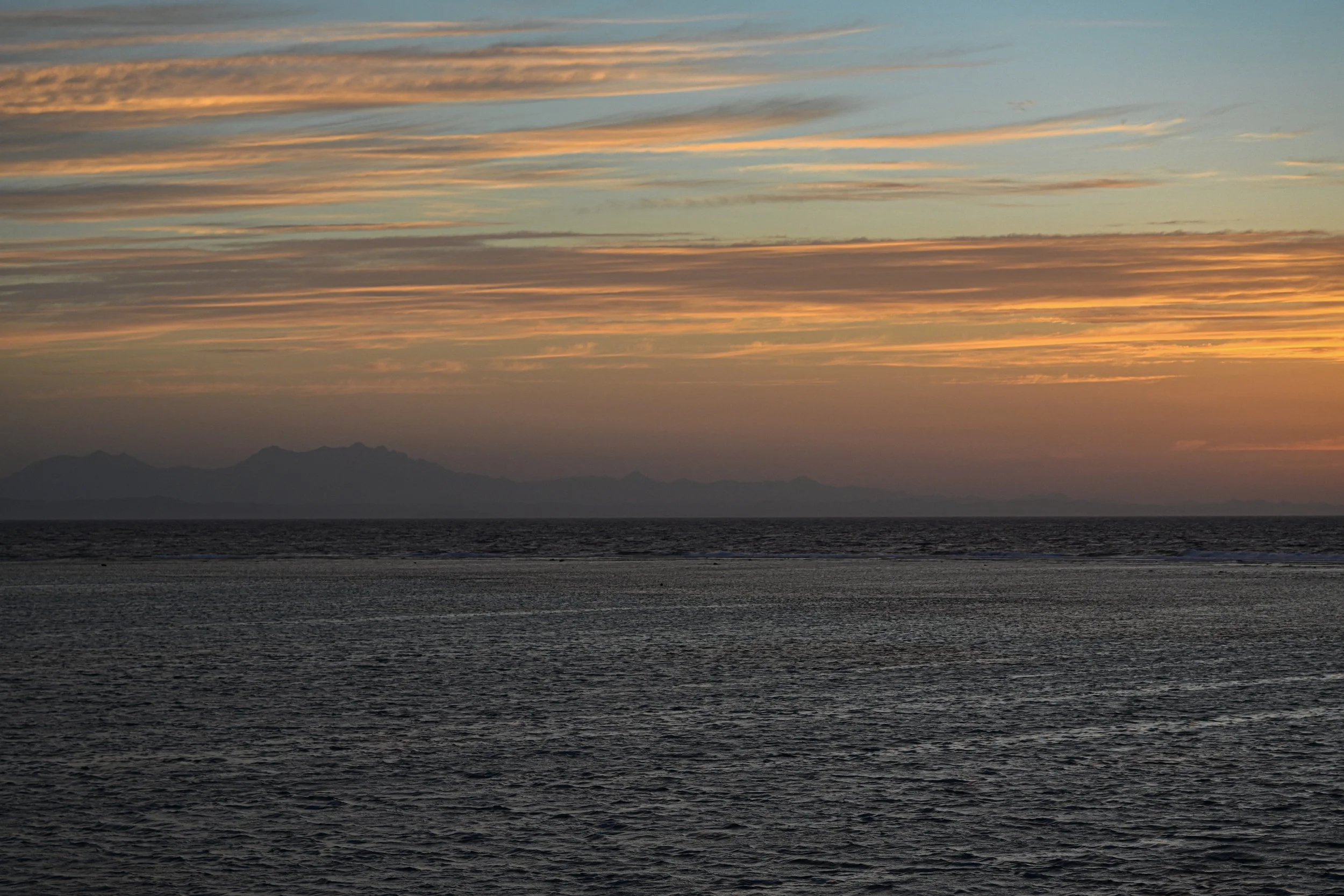 DSC_4050.jpg