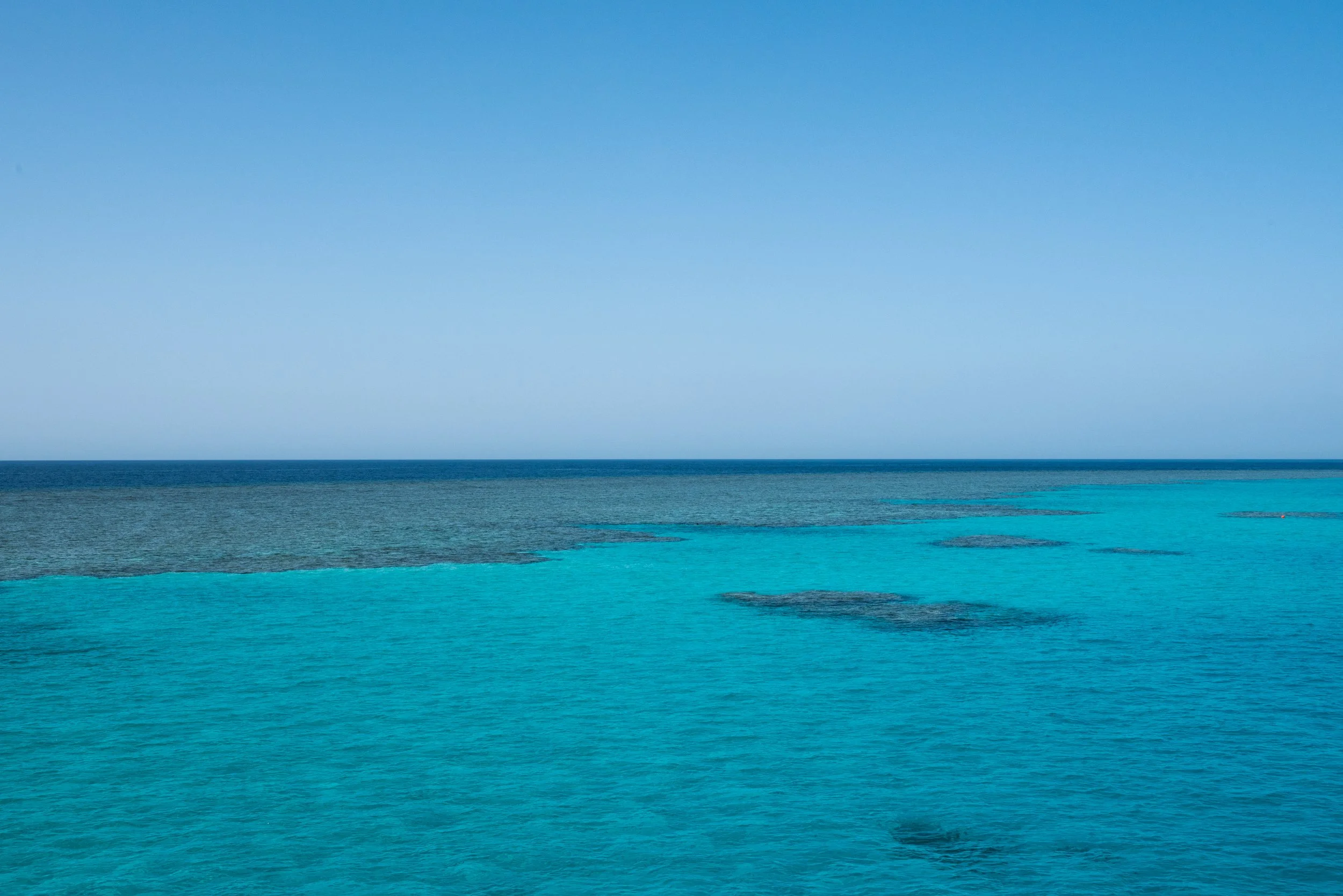 DSC_2854.jpg