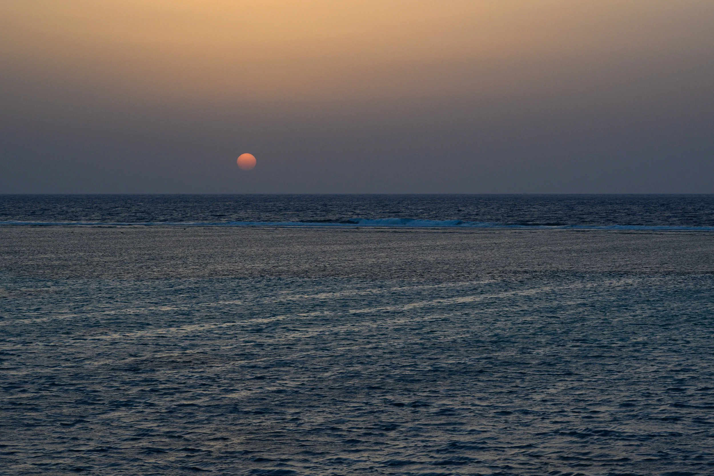 DSC_3909.jpg
