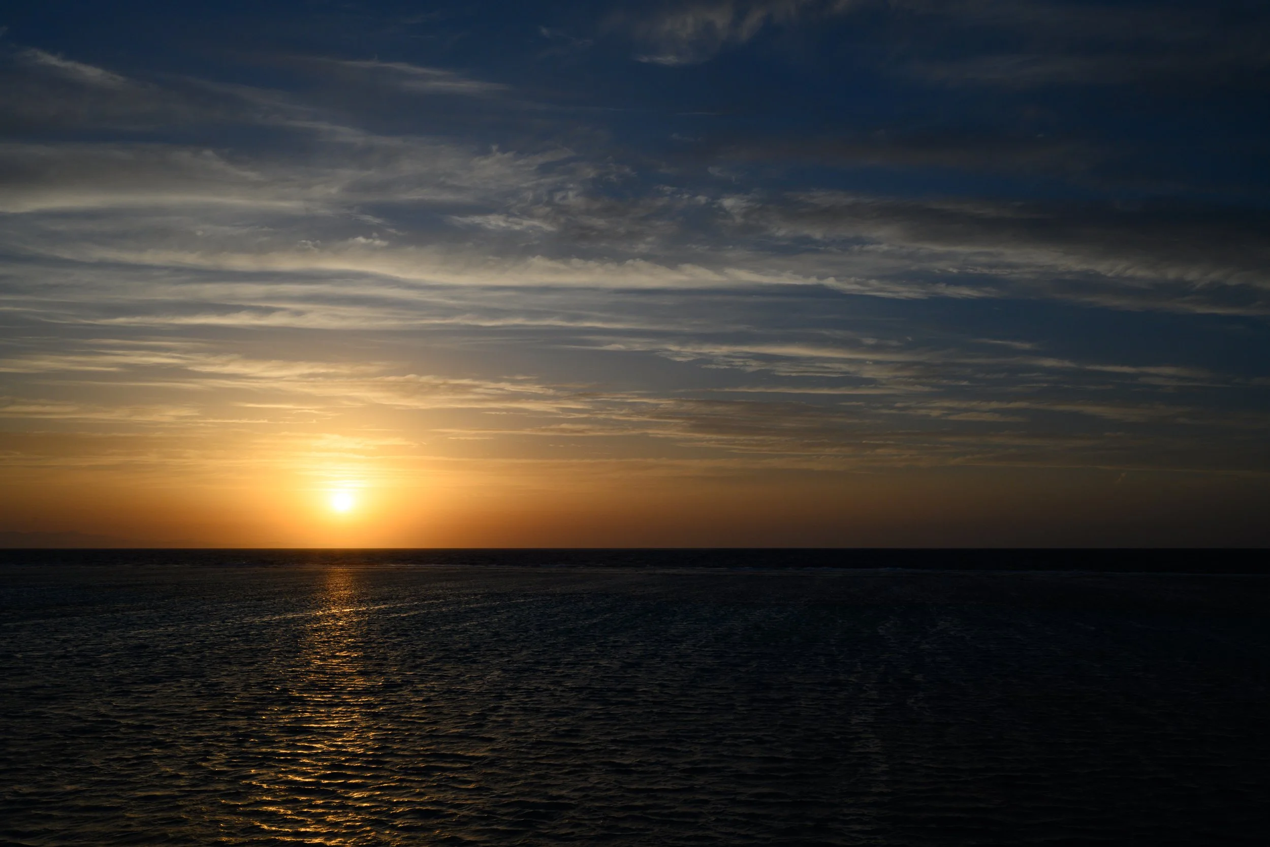 DSC_4017.jpg