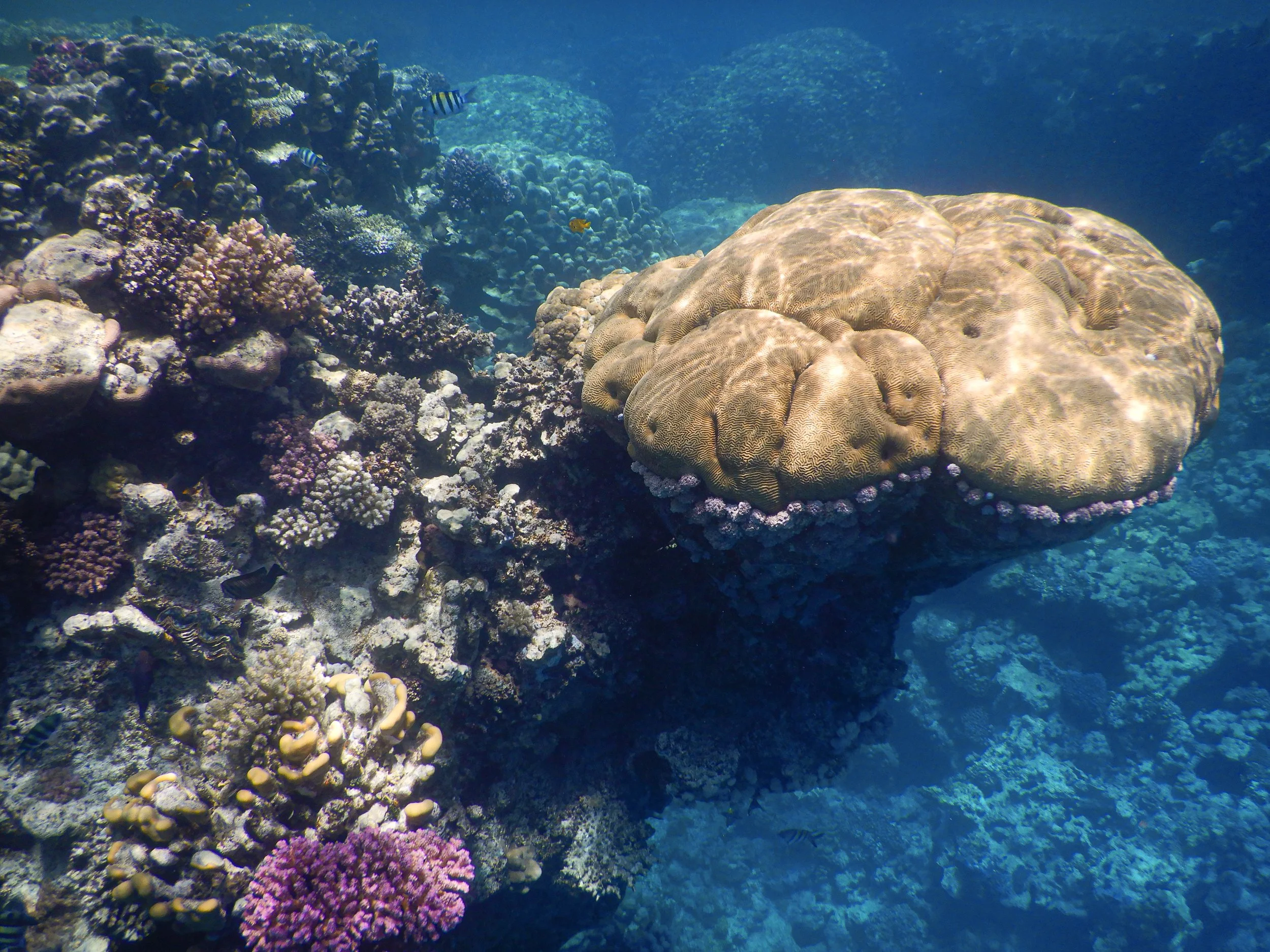 DSCN1897.jpg