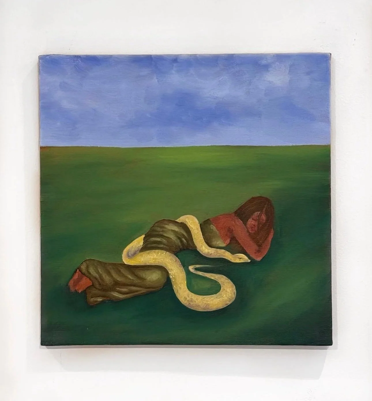 Coiled, oil on canvas, 2026