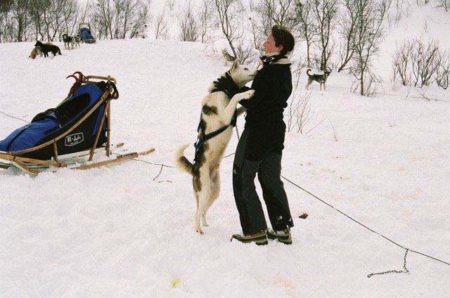  Charity Work in the Arctic 