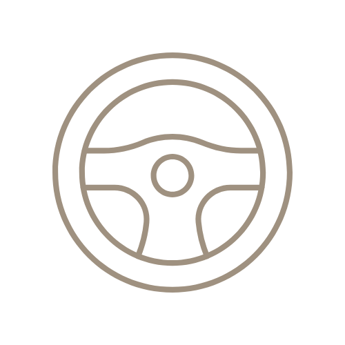 Icon of a steering wheel, representing driving or automotive.