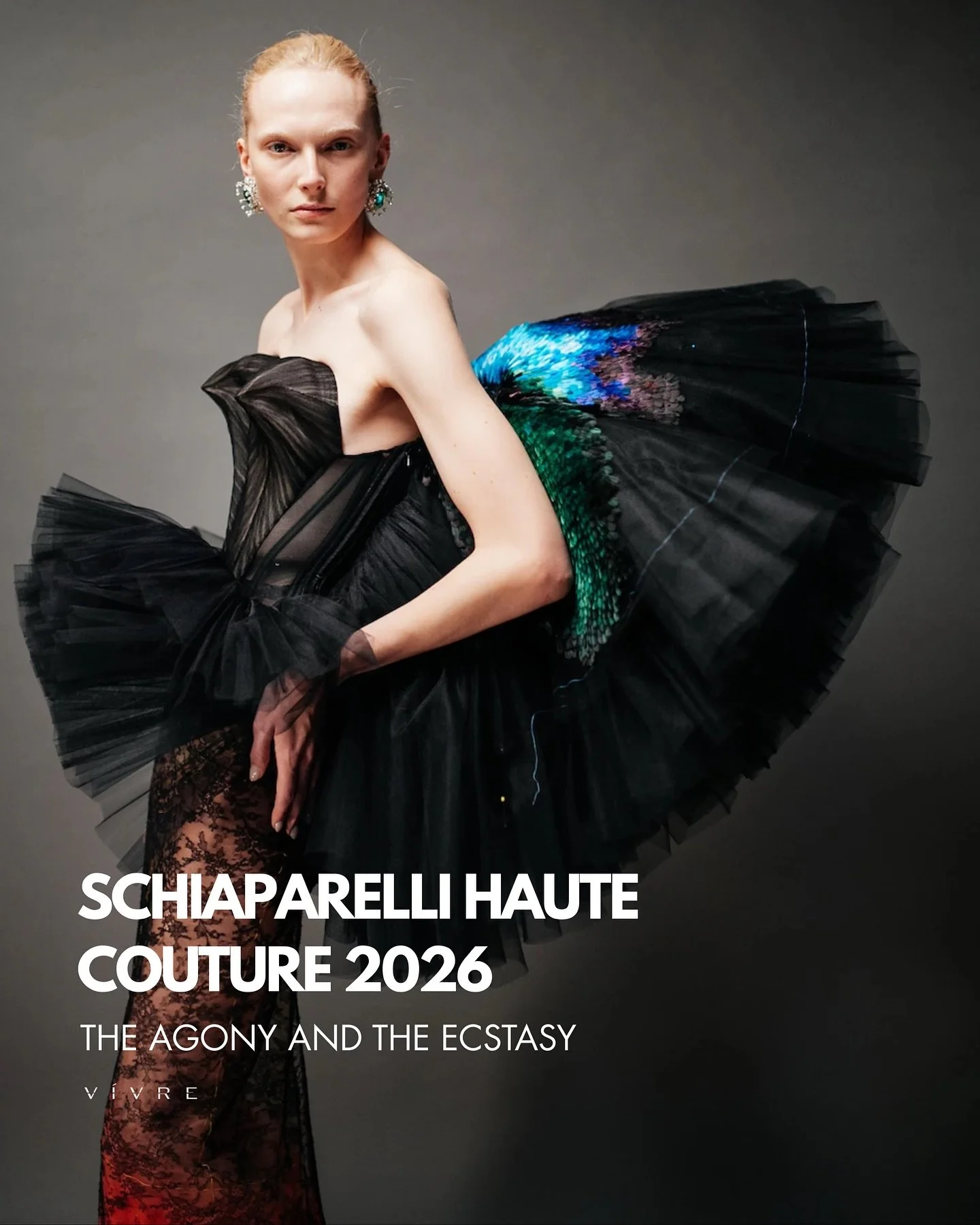 | Schiaparelli Haute Couture Spring Summer 2026

The Agony and the Ecstasy

For Spring Summer 2026, Daniel Roseberry looks up. Literally and emotionally.

The collection was born in Rome, inside the Sistine Chapel. Not from the walls that teach and e