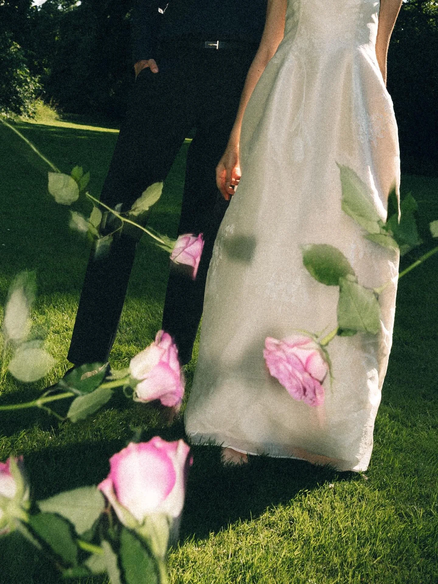 Roses are purple 
The shadows are blue 
I pour my heart out 
To show you my truth. 

Silly poetry but so real. I play&hellip; I&rsquo;m honest with my favourite aesthetic and it took me AGES to grow up as a creator. To not look around to seek other&r