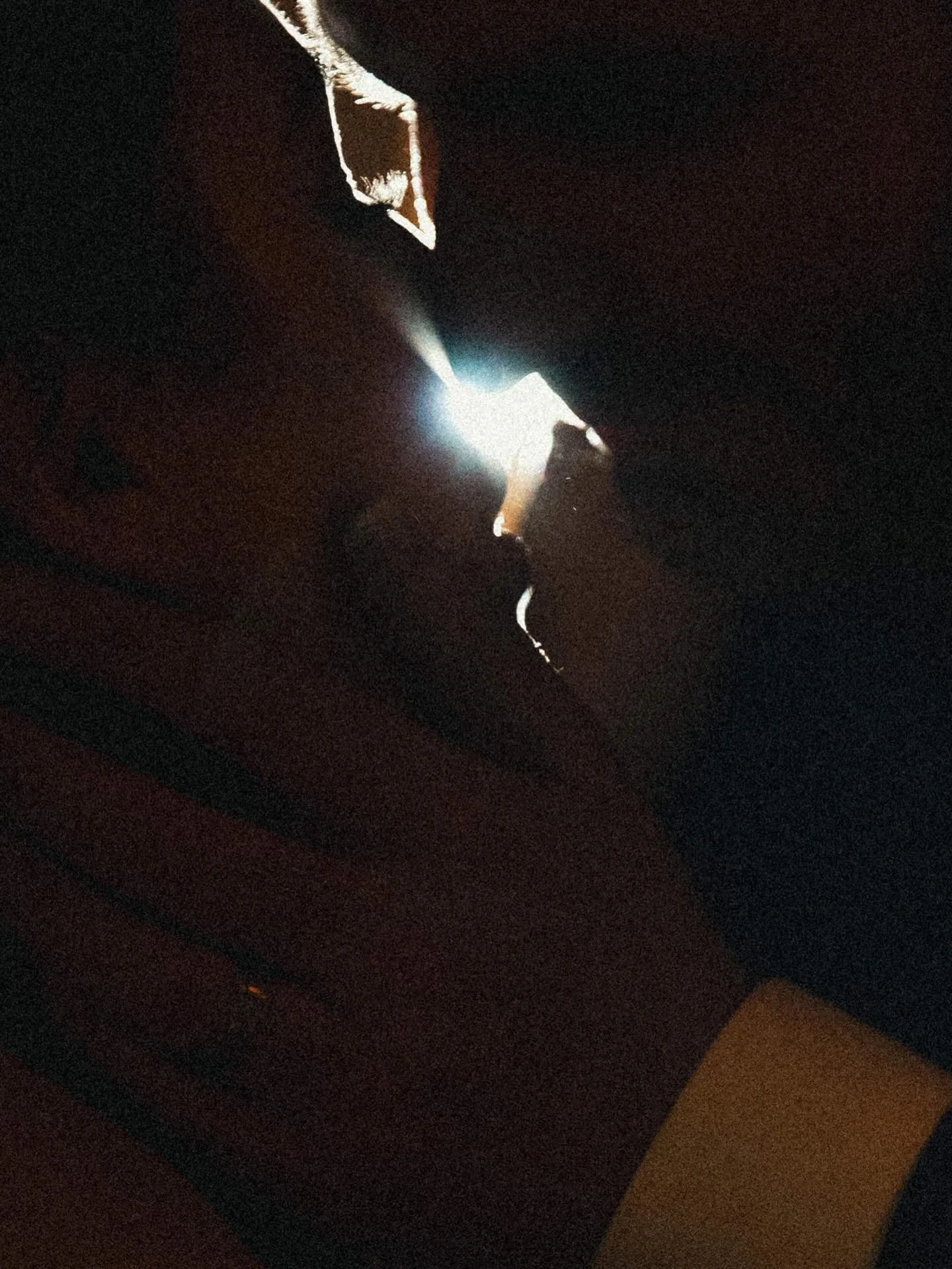 Some of my favourites from recently delivered December wedding. I&rsquo;m officially in 2026 editing queue ;) 

PS. Yes, predominantly this set of images is captured on film. 

Venue: @bridge__gardens