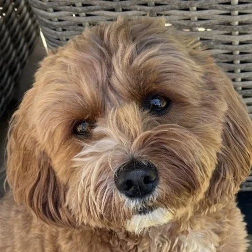 2025-07-17 MargotSarah - Christmas.jpg