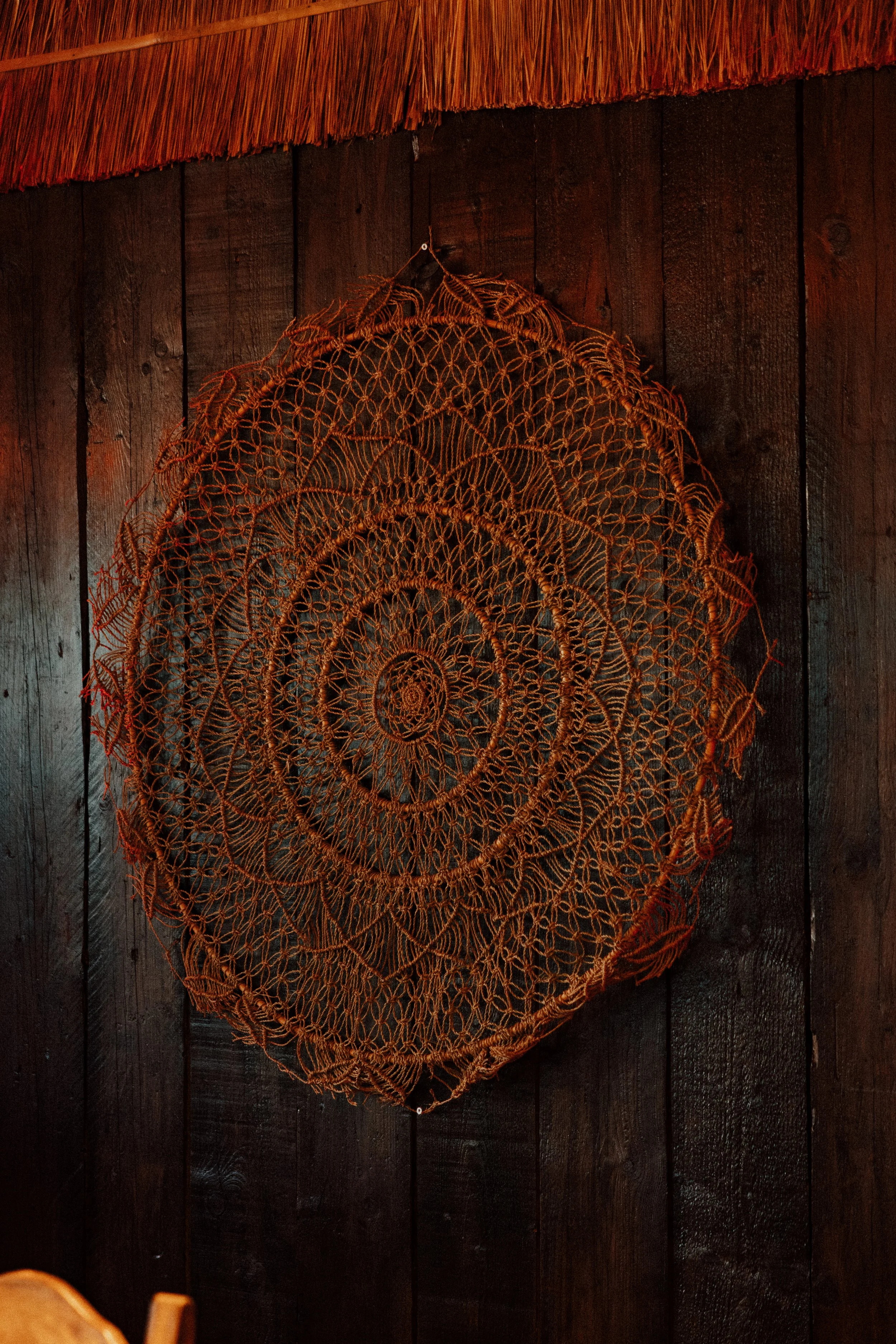 2026-04-01- AllanFocus - CasaAlta- HD - 3.jpg