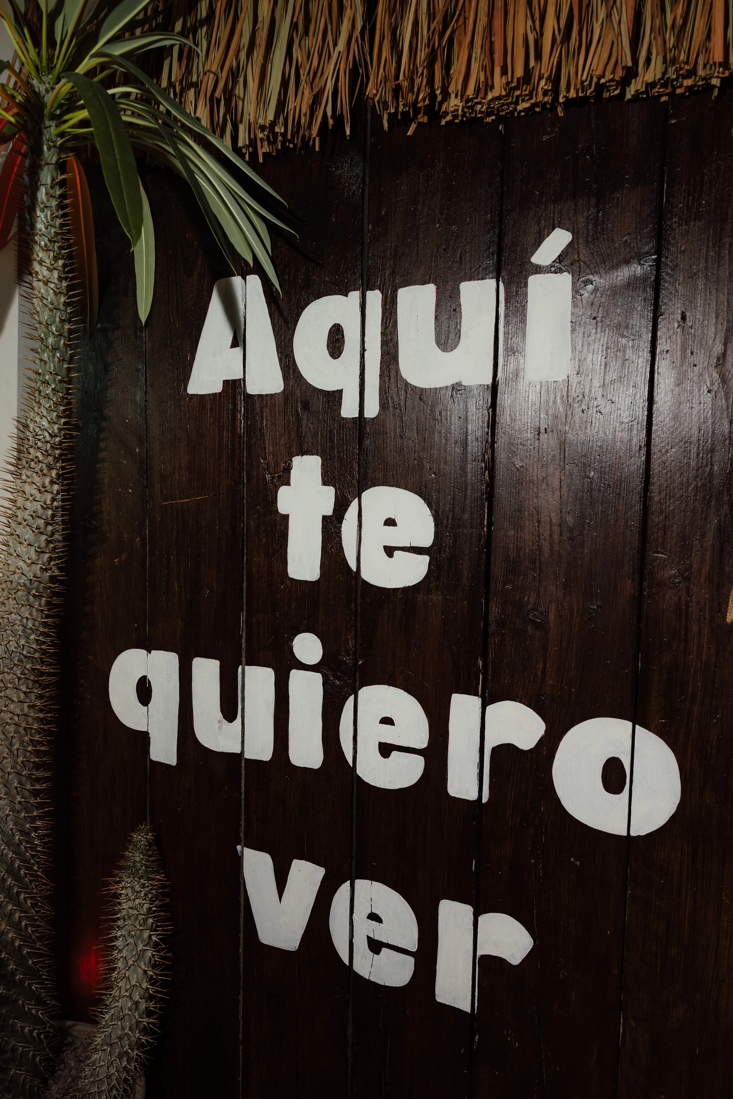 2026-04-01- AllanFocus - CasaAlta- HD - 11.jpg