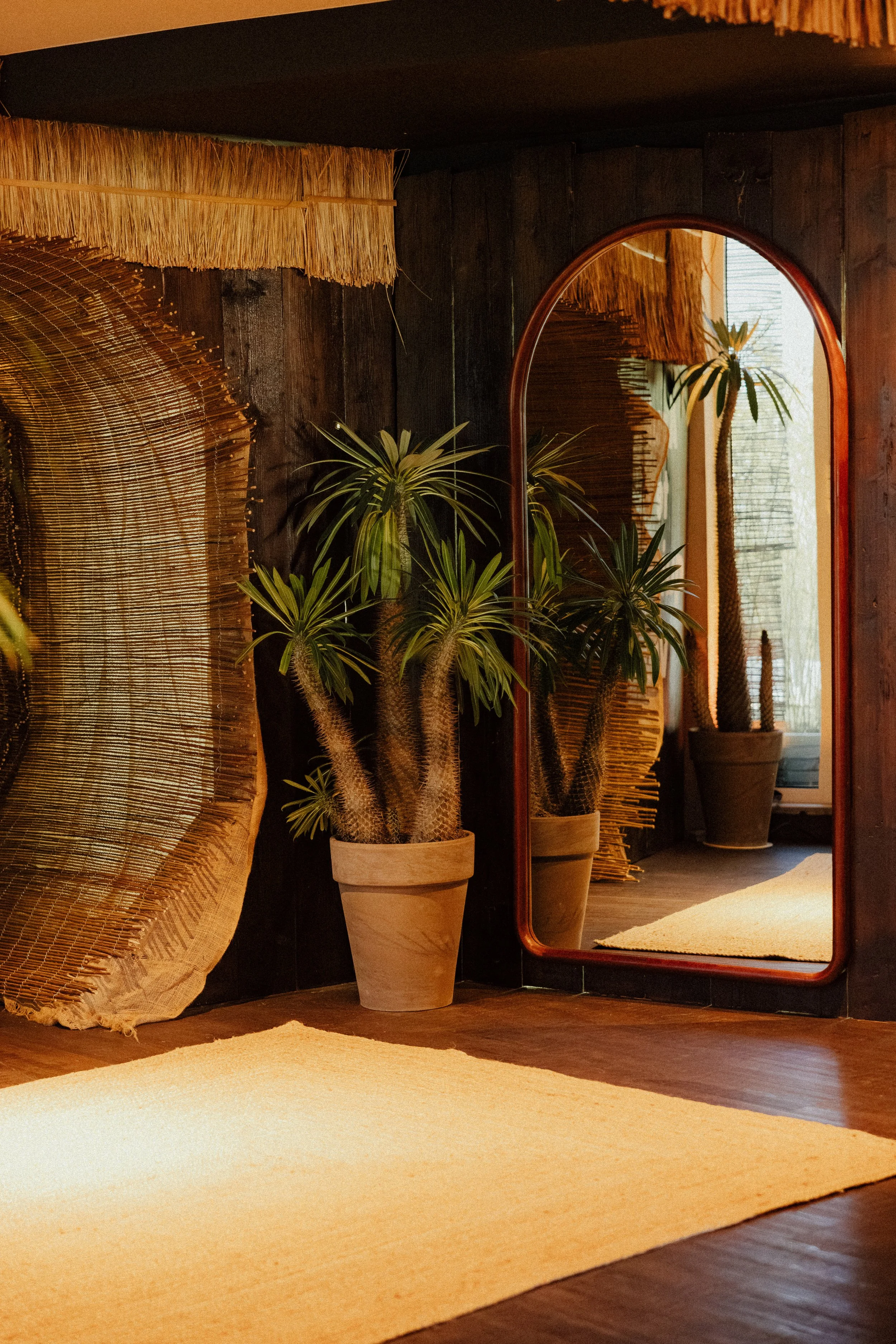 2026-04-01- AllanFocus - CasaAlta- HD - 36.jpg