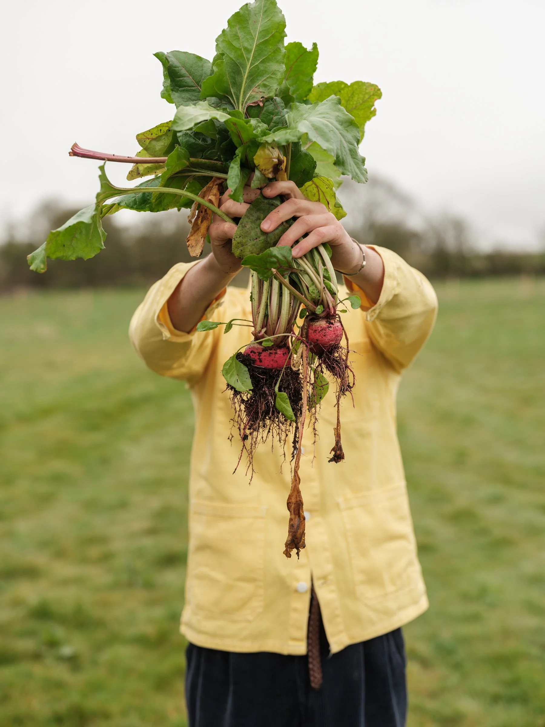 HigherFarmMar25-9341.jpg