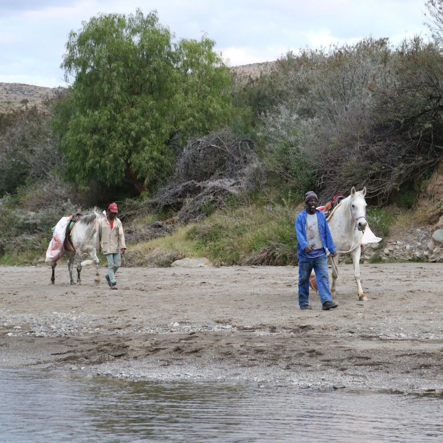 Real hunting. Raw Africa. 🌍🦌
When the terrain is too wild for roads, we go back to the basics. 🐎 Our skilled horses carry out the harvest &mdash; piece by piece &mdash; through rugged bushveld where 4x4s can&rsquo;t reach.

This is not your averag