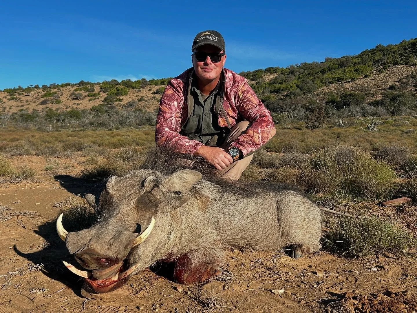 Warthog down 🐗💥
A solid boar and a great moment in the bush.

Visit our website to book your hunt! 👈🏻
www.wellfoundsafaris.com

#WarthogHunt #TrophyBoar #HuntAfrica #BigGameHunting #BoarHunting #EthicalHunting #FairChase #HuntingAdventure #Africa