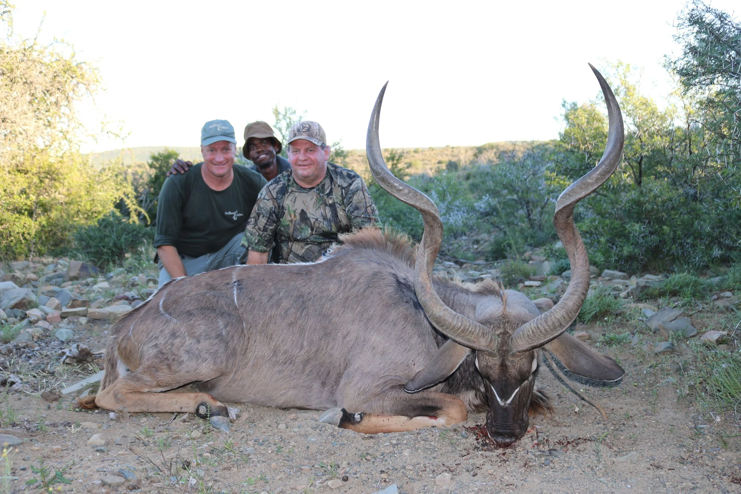 Three men posing behind a dead kudu with large spiral horns in a natural, bushy landscape.