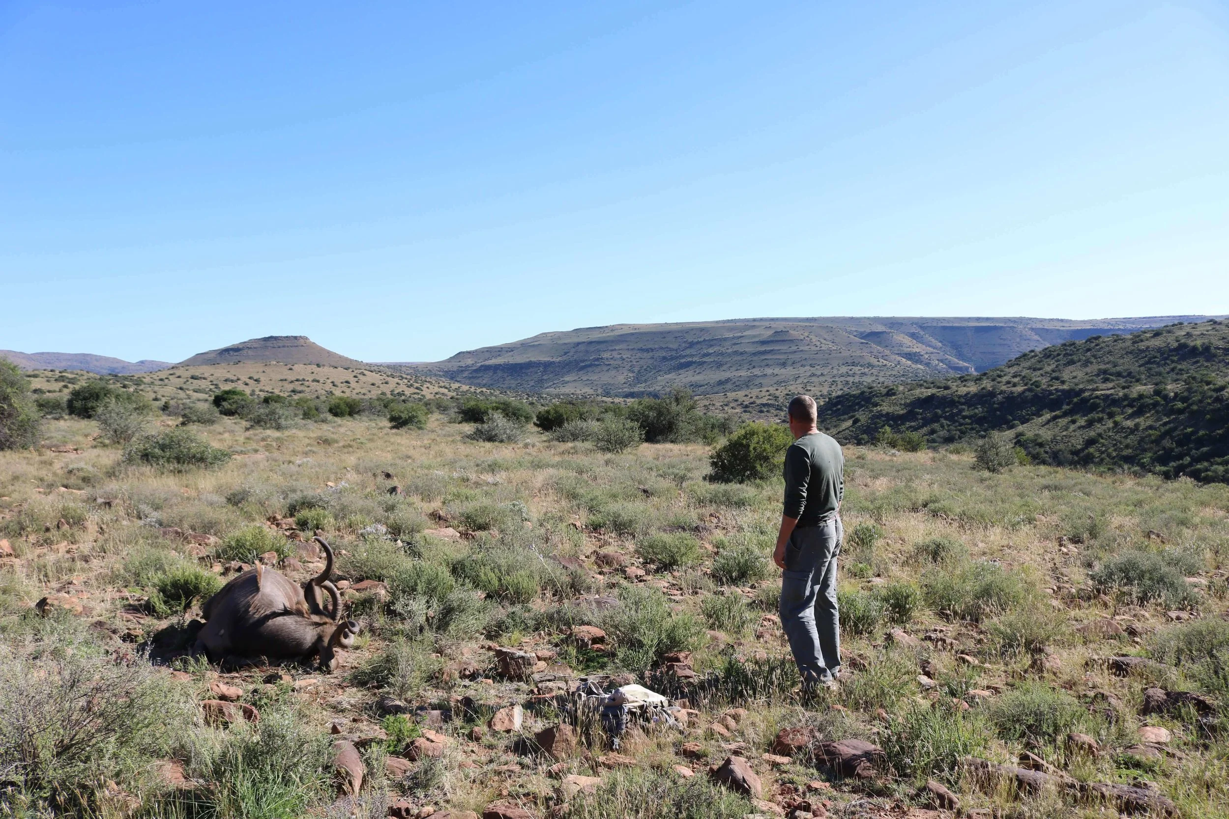 A man standing in a savannah landscape with a dead animal on the ground, surrounded by bushes and rolling hills in the background.