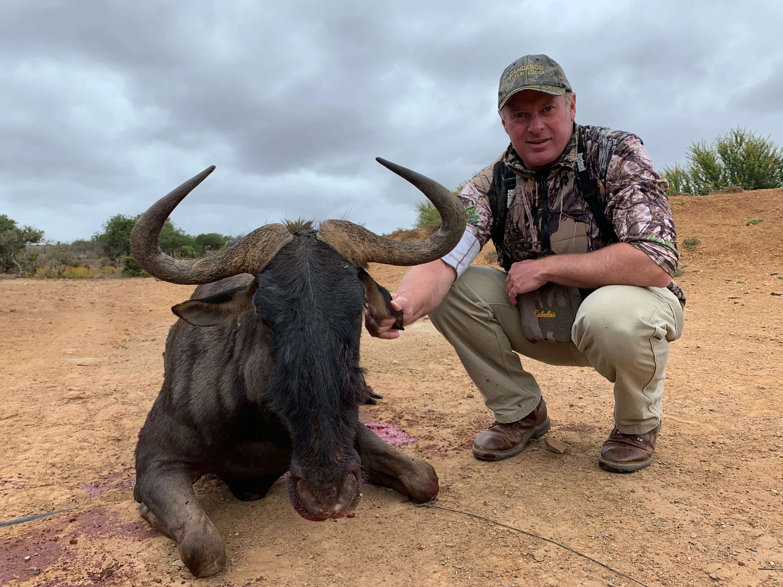 A man crouching next to a dead warthog in a desert landscape, holding its tusk, with cloudy sky overhead.