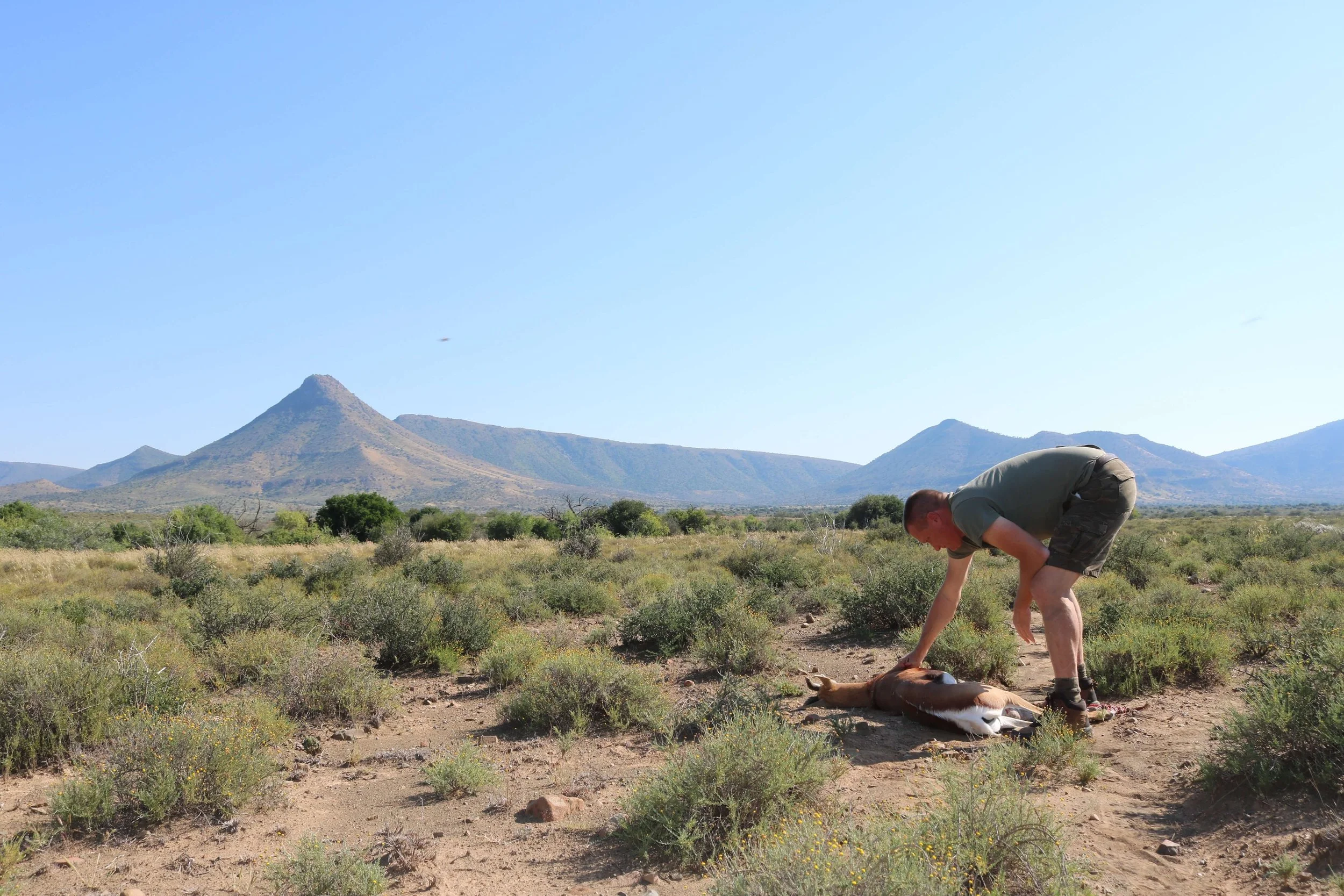 A man in camouflage shorts and olive green shirt tending to a dead animal in a desert landscape with mountains in the background.