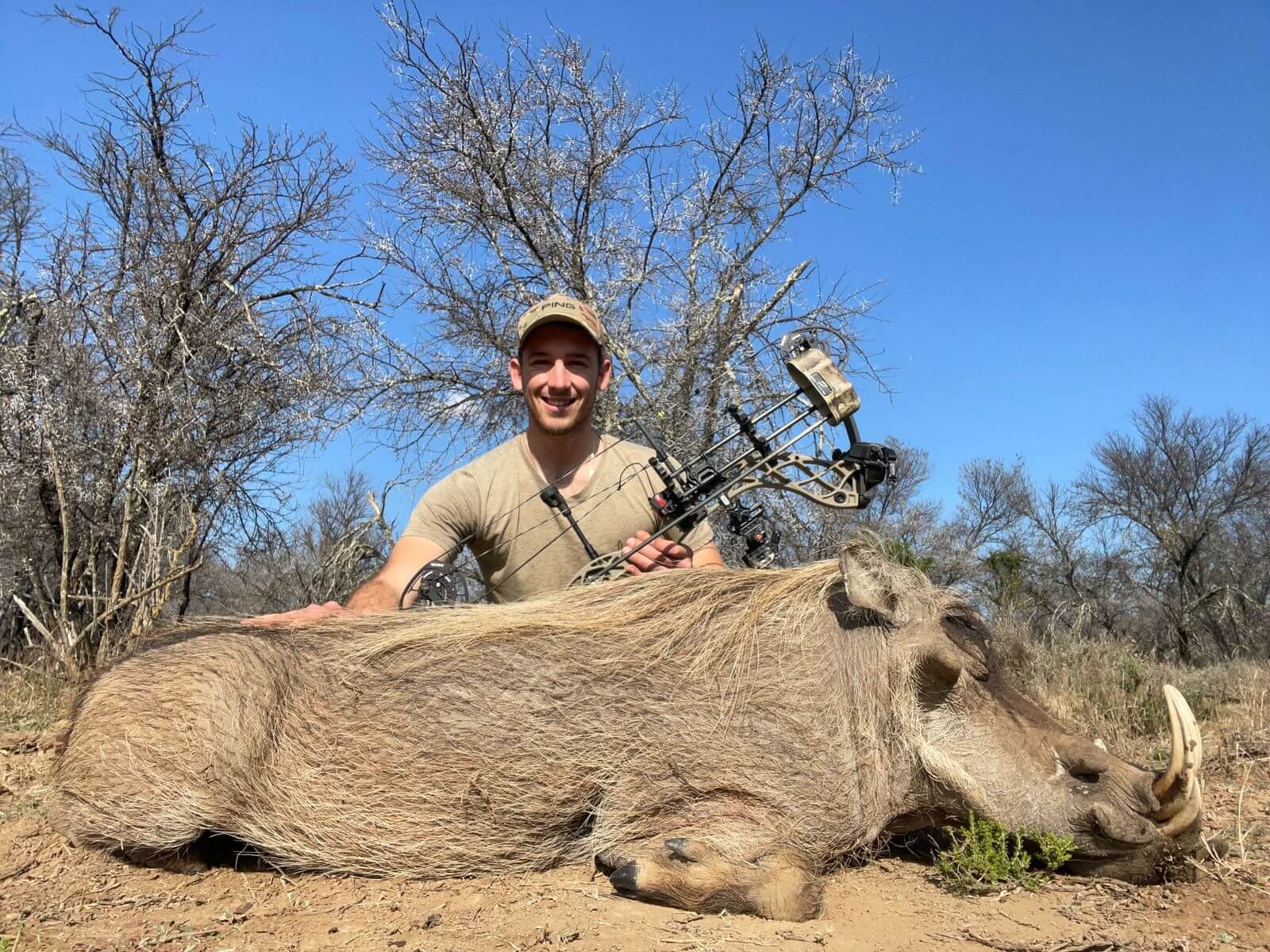 A man kneeling next to a large, deceased warthog with long tusks, holding a bow, in a dry, wooded landscape with leafless trees and a clear blue sky.
