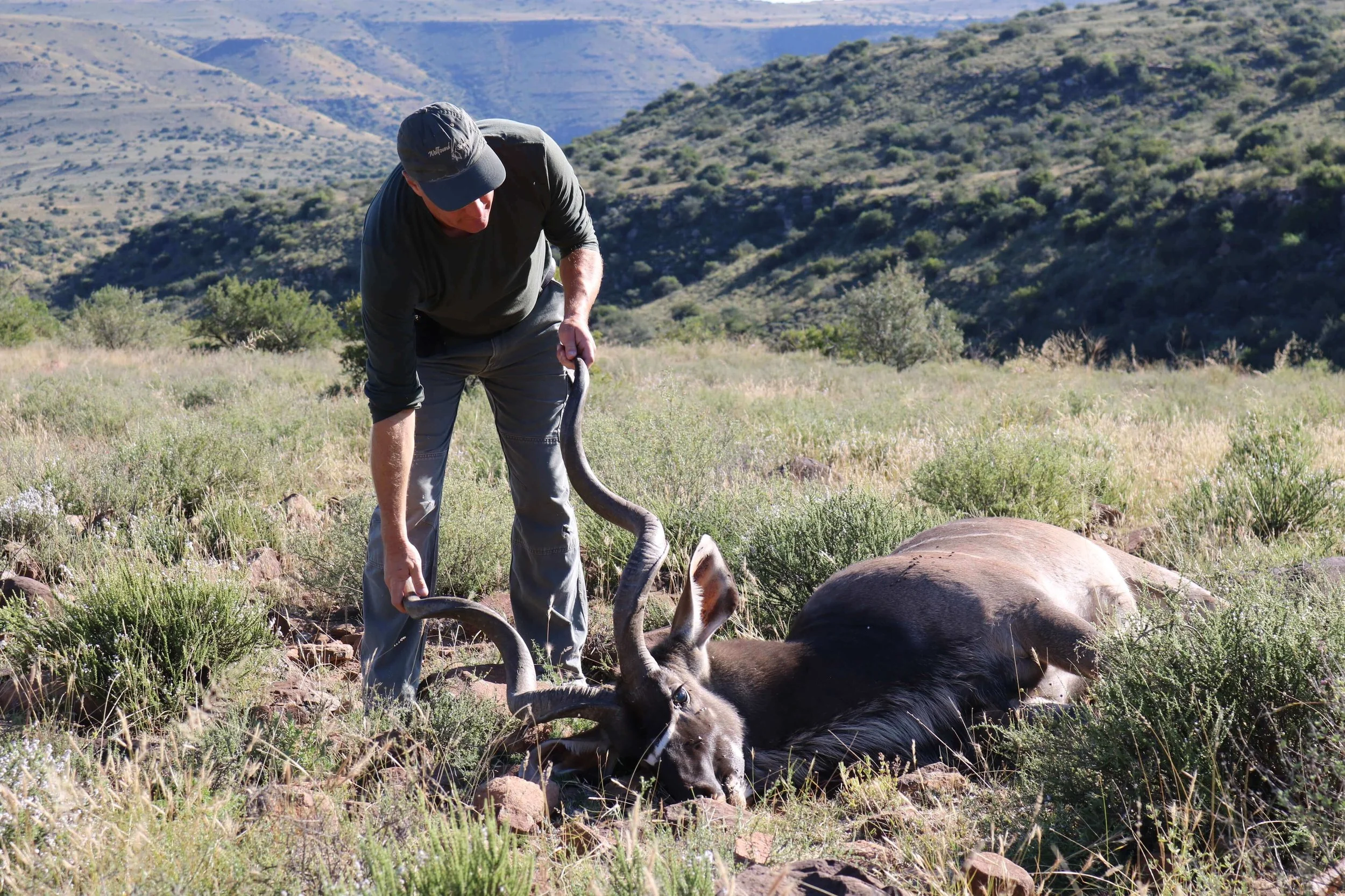 A man in a black cap and gray clothing holding the horns of a dead antelope in a grassy open landscape with rolling hills in the background.