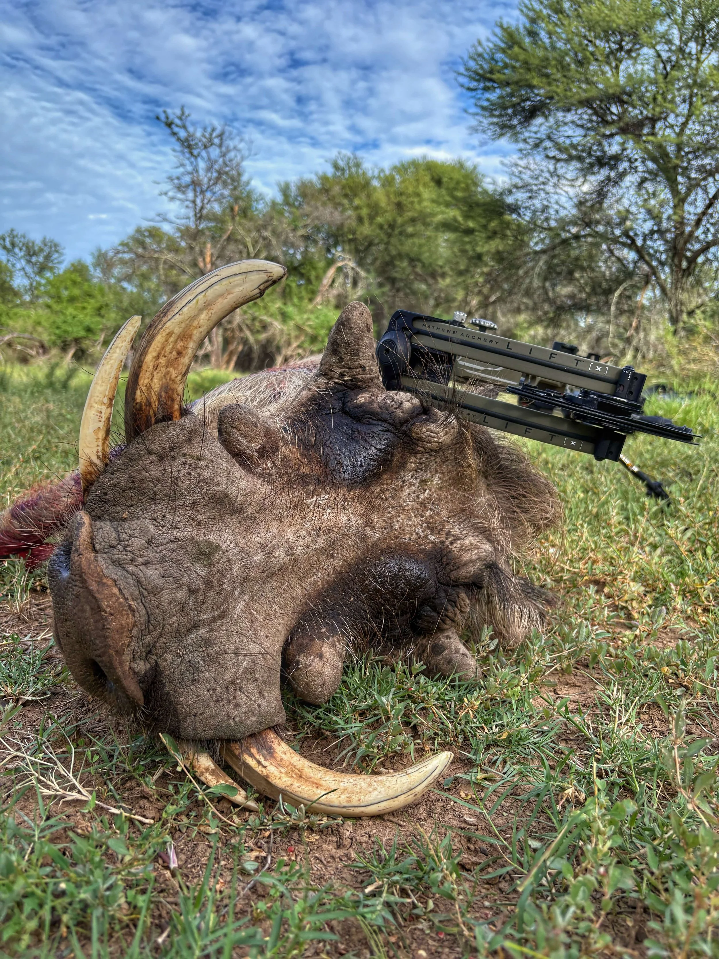 wellfound-safaris-hunting-outfitter-south-africa-bowhunting-10.jpg