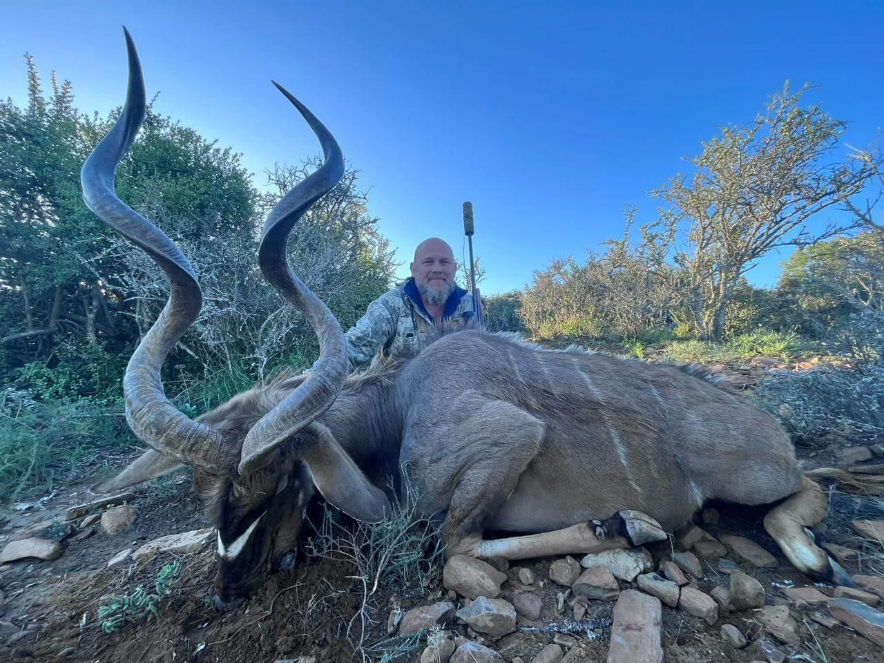 A man kneeling behind a large dead antelope with twisted horns, lying on rocky ground in a desert-like area with bushes and trees under a clear blue sky.