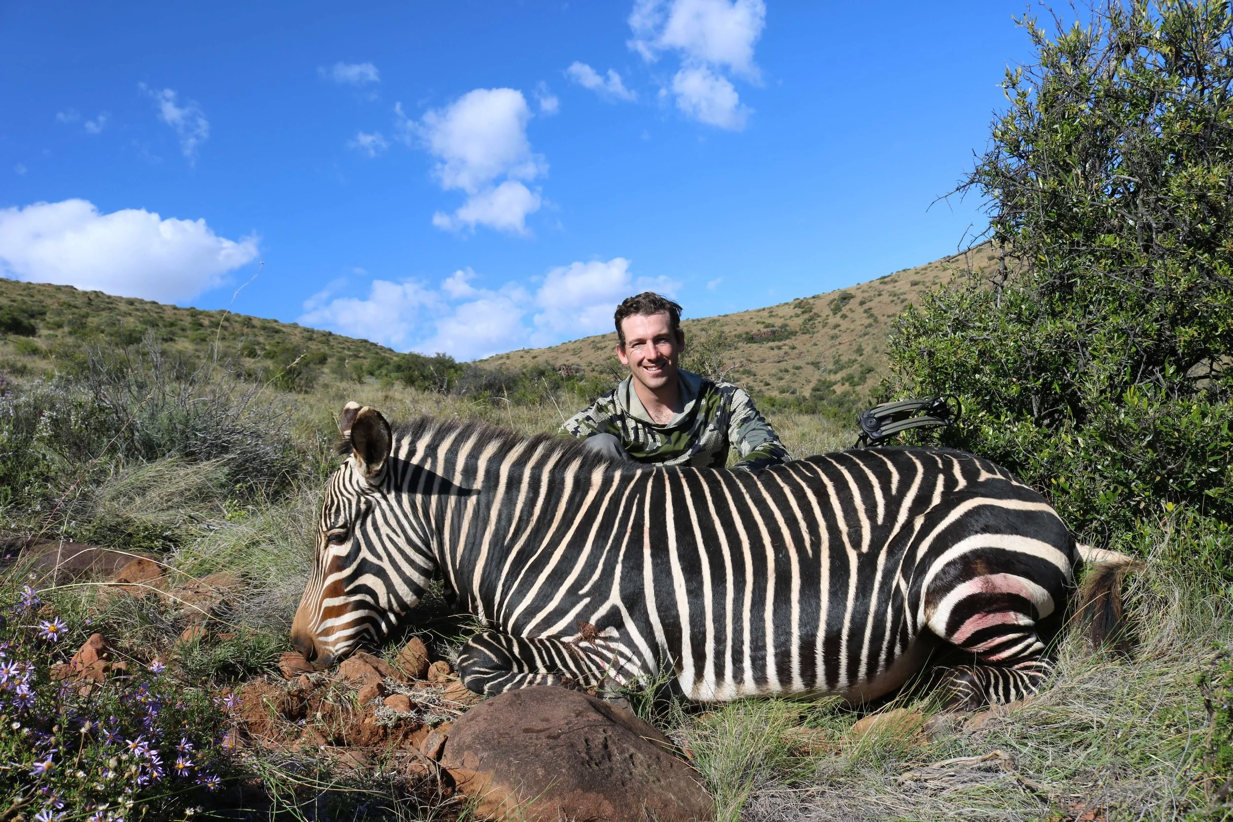 A man in a camouflage shirt sitting beside a resting zebra on a grassy landscape with hills and a blue sky with clouds in the background.