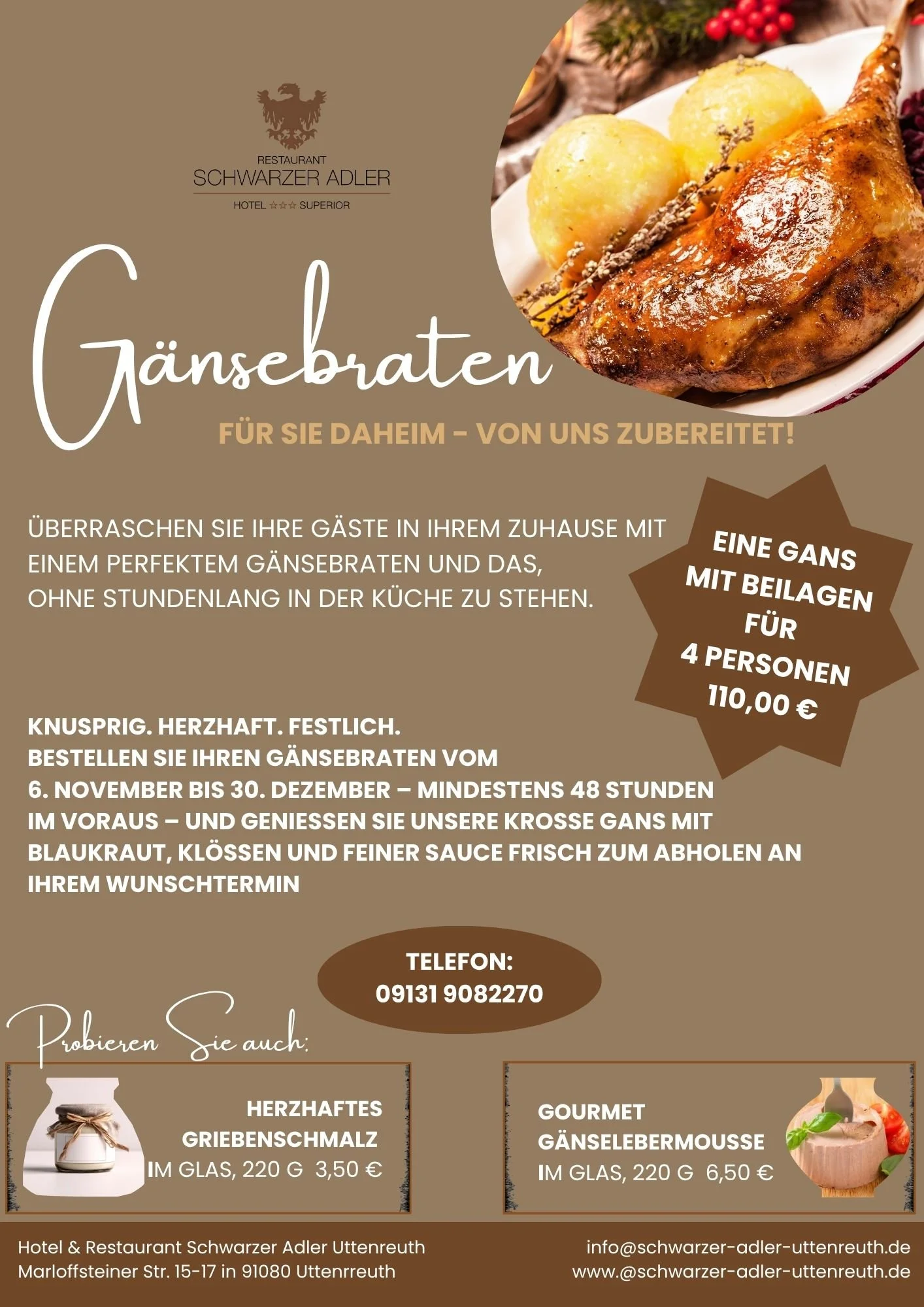 Gänseplakat to Go.jpg