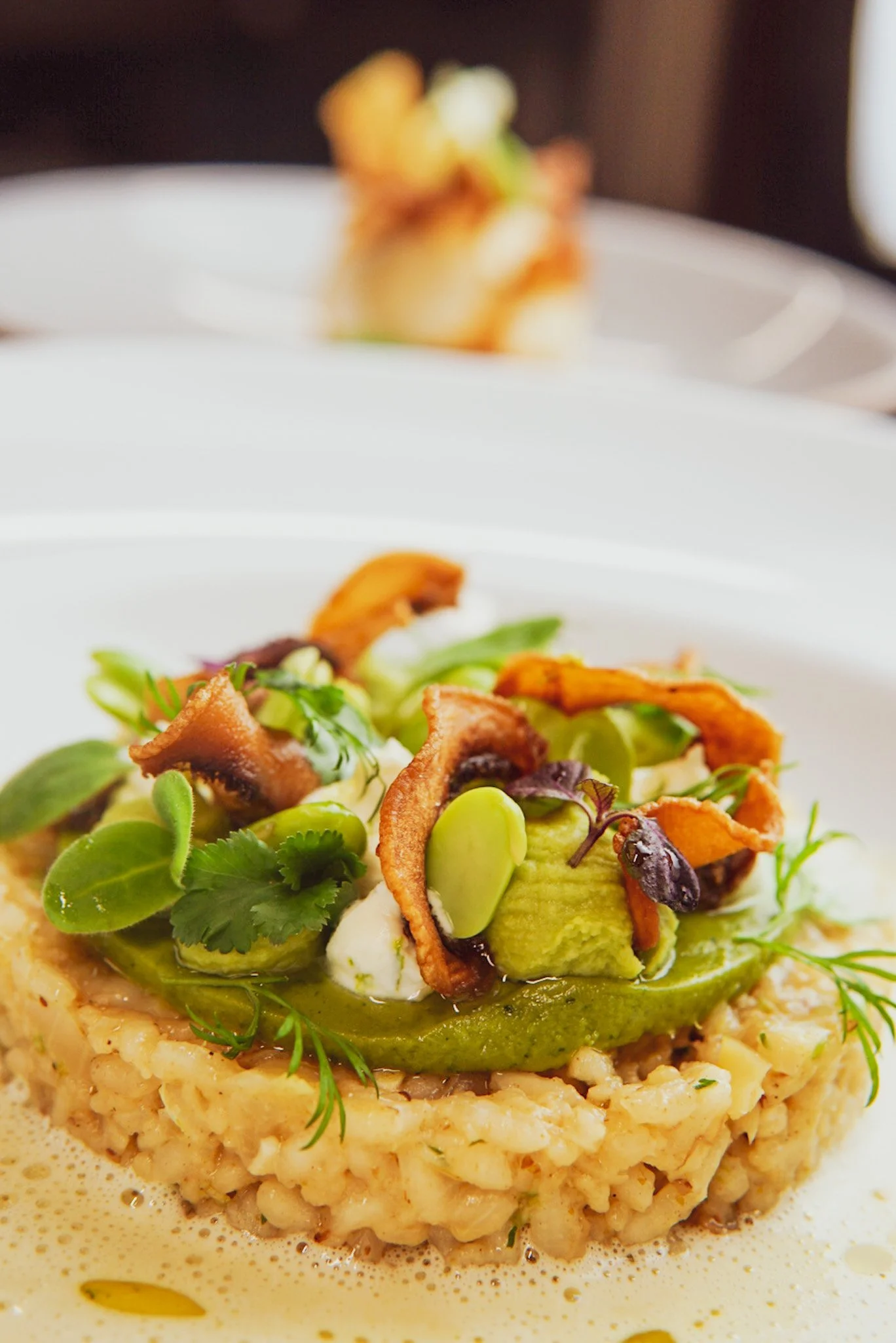 Modern interpretierte, hausgemachte und saisonale Gerichte, vegetarisch, vegan und Steak-Varianten in Erlangen, Nürnberg und Uttenreuth