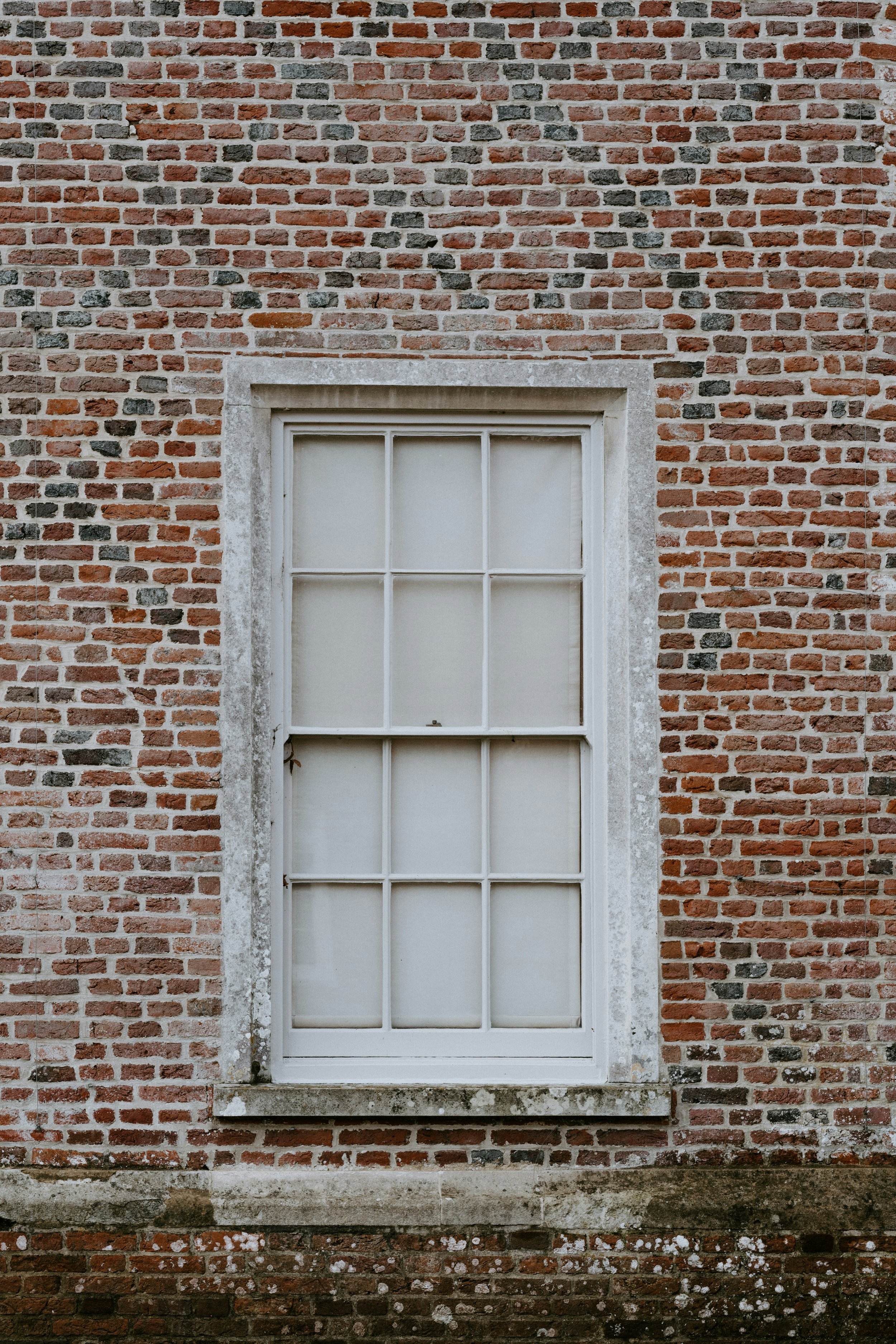 annie-spratt-ZGcIDWy6RNk-unsplash.jpg