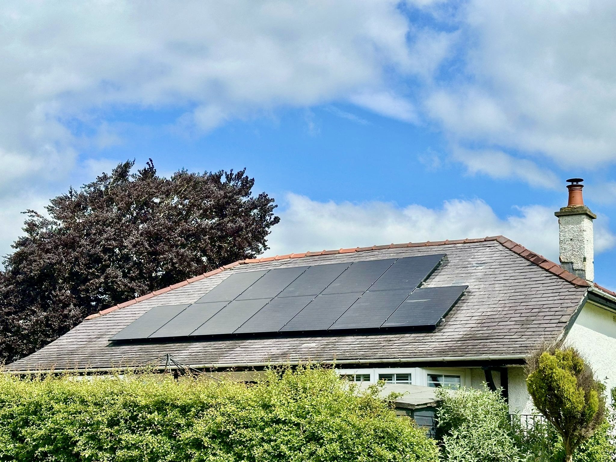 solar-panels-lupton.jpeg