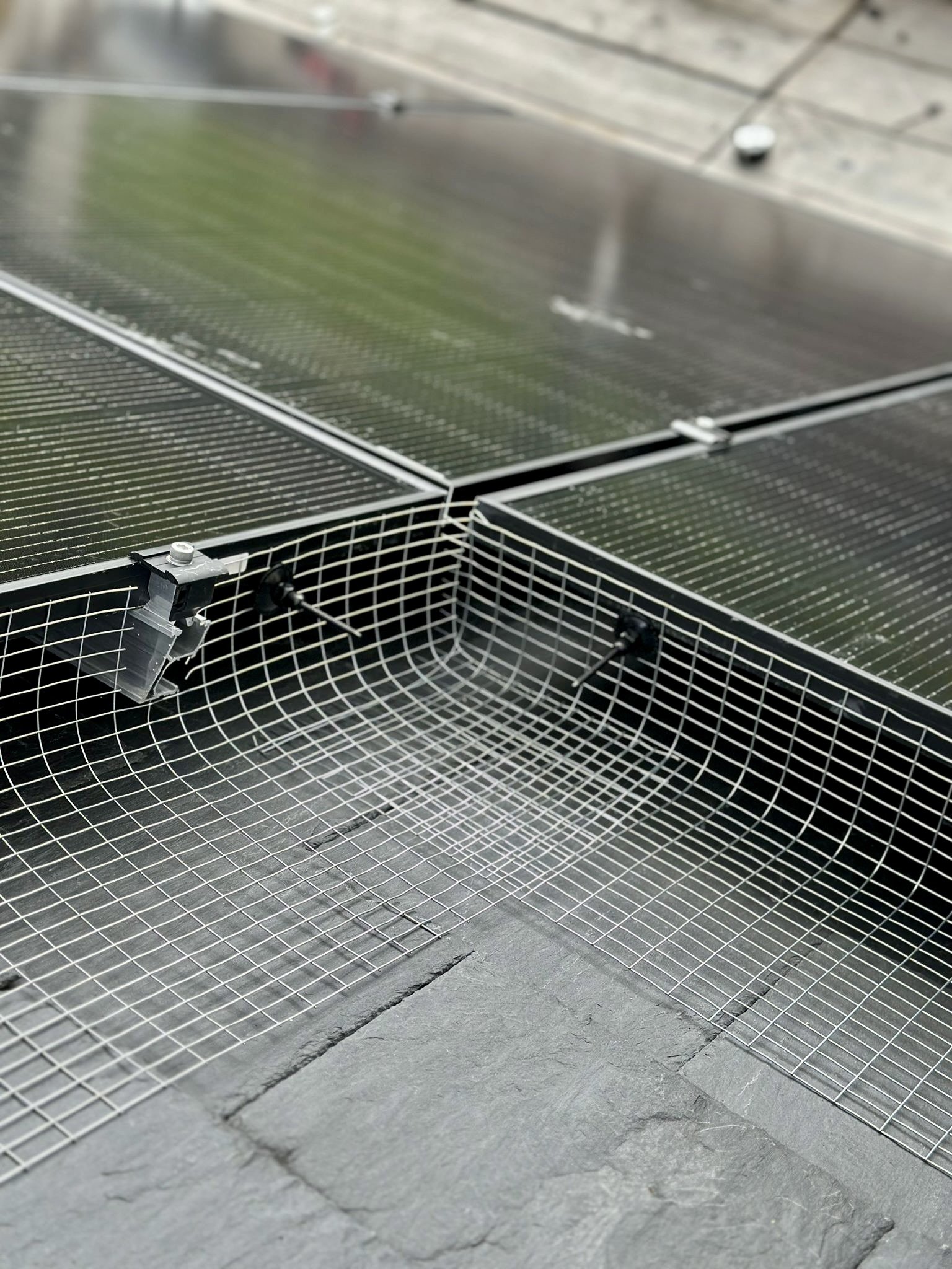 bird-protection-for-solar-panels.jpeg