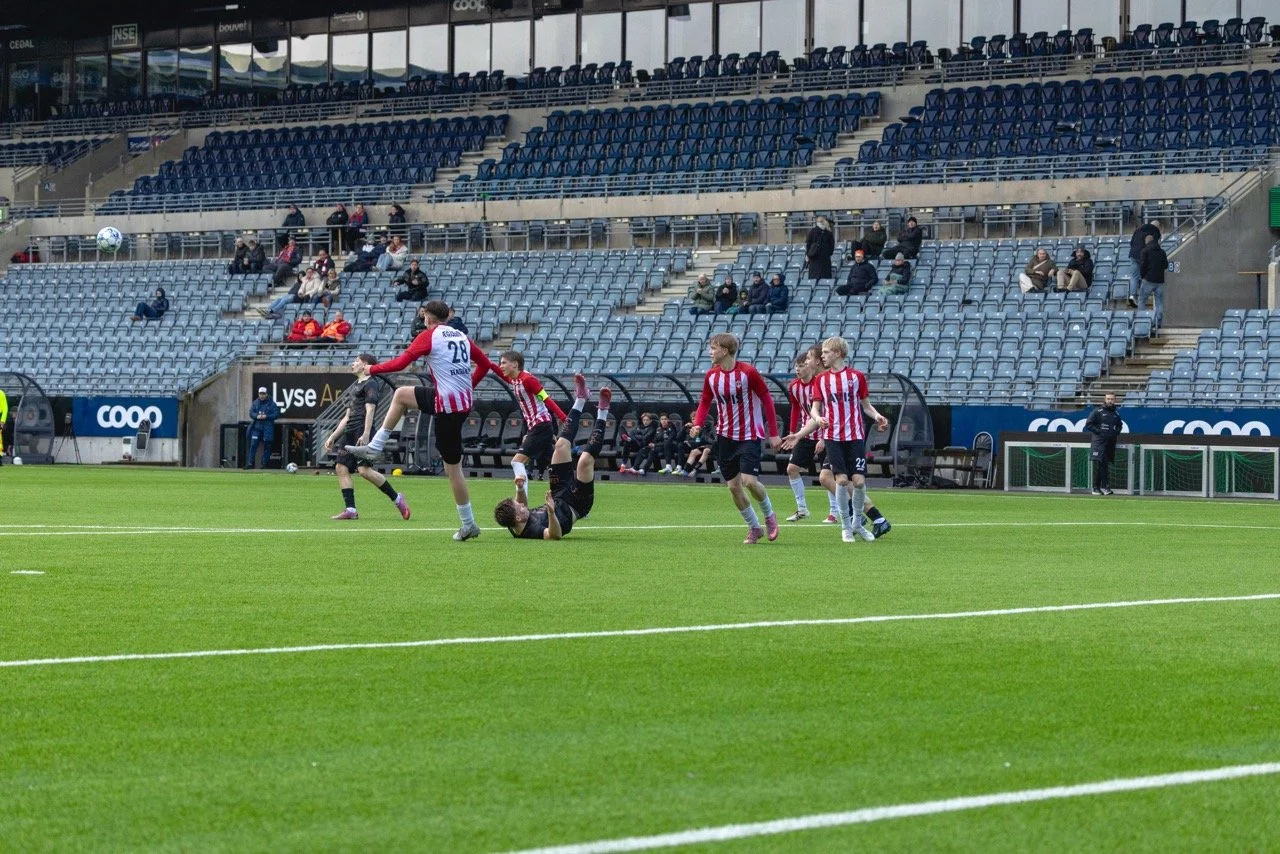 CP5A3194 – stort.jpeg