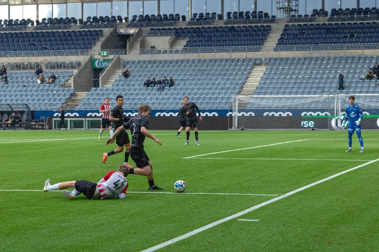 CP5A3089 – stort.jpeg