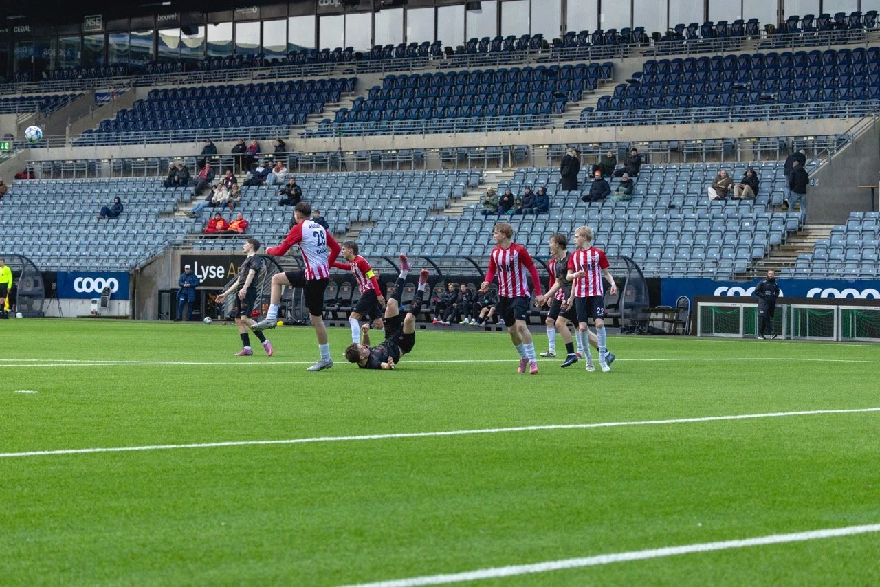 CP5A3195 – stort.jpeg