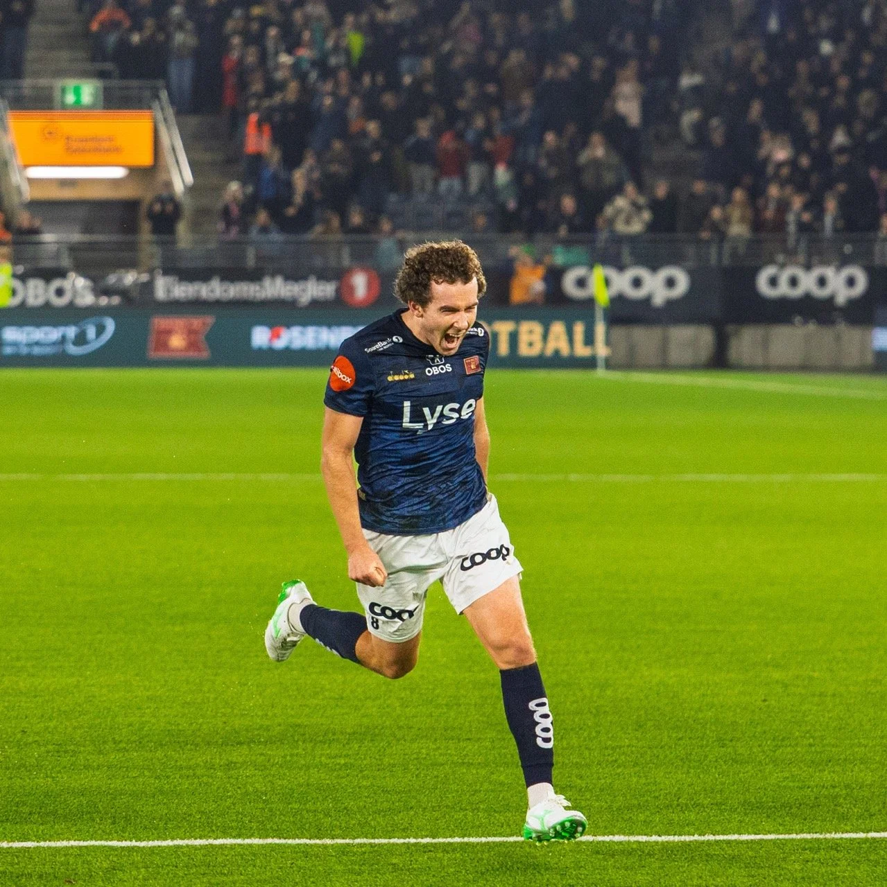 CA0A3859 – stort.jpeg