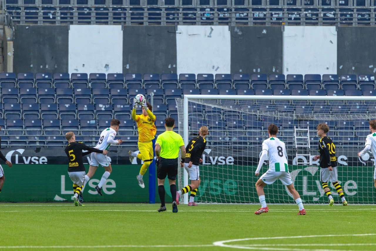 CP5A3751 – stort.jpeg