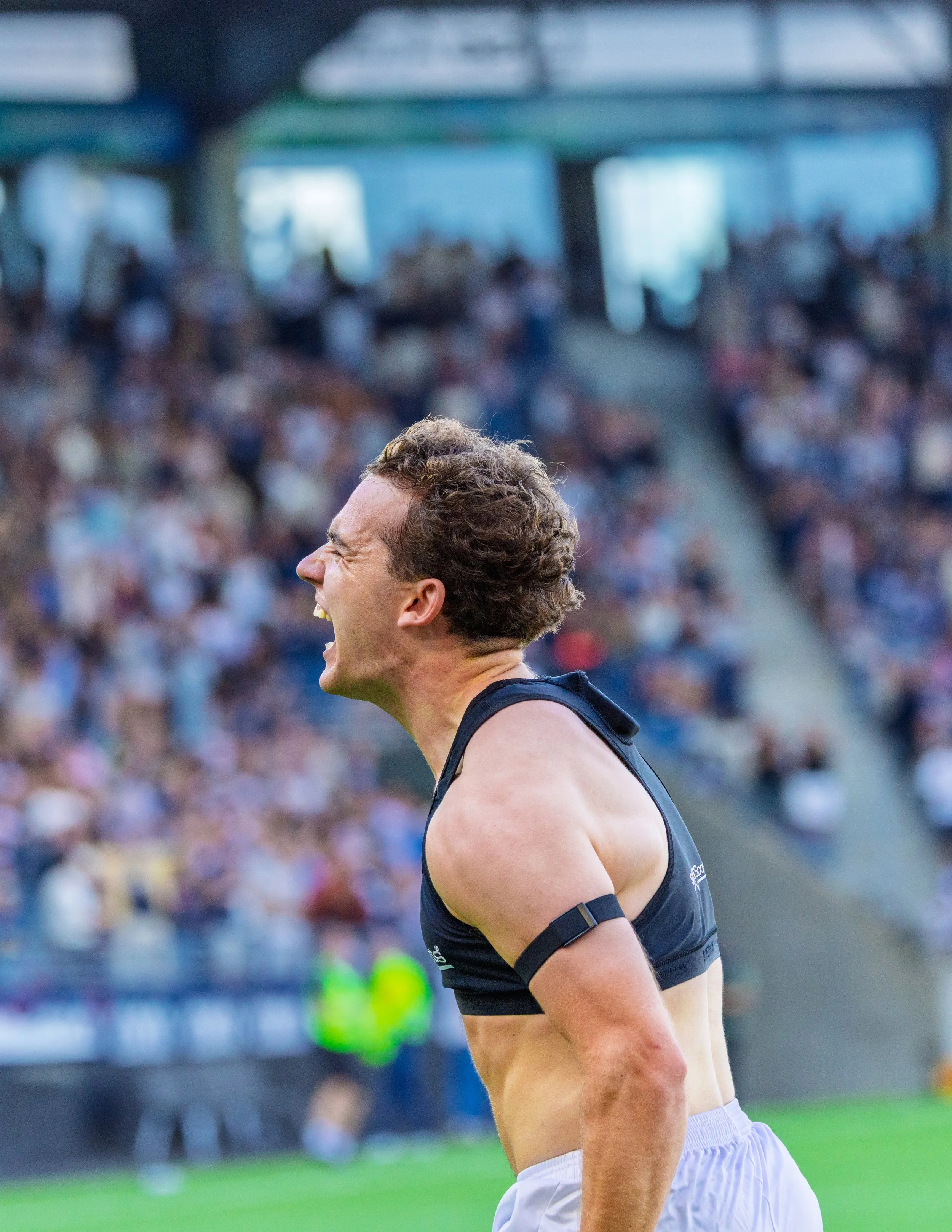 Viking - Sandefjord, Eliteserien
