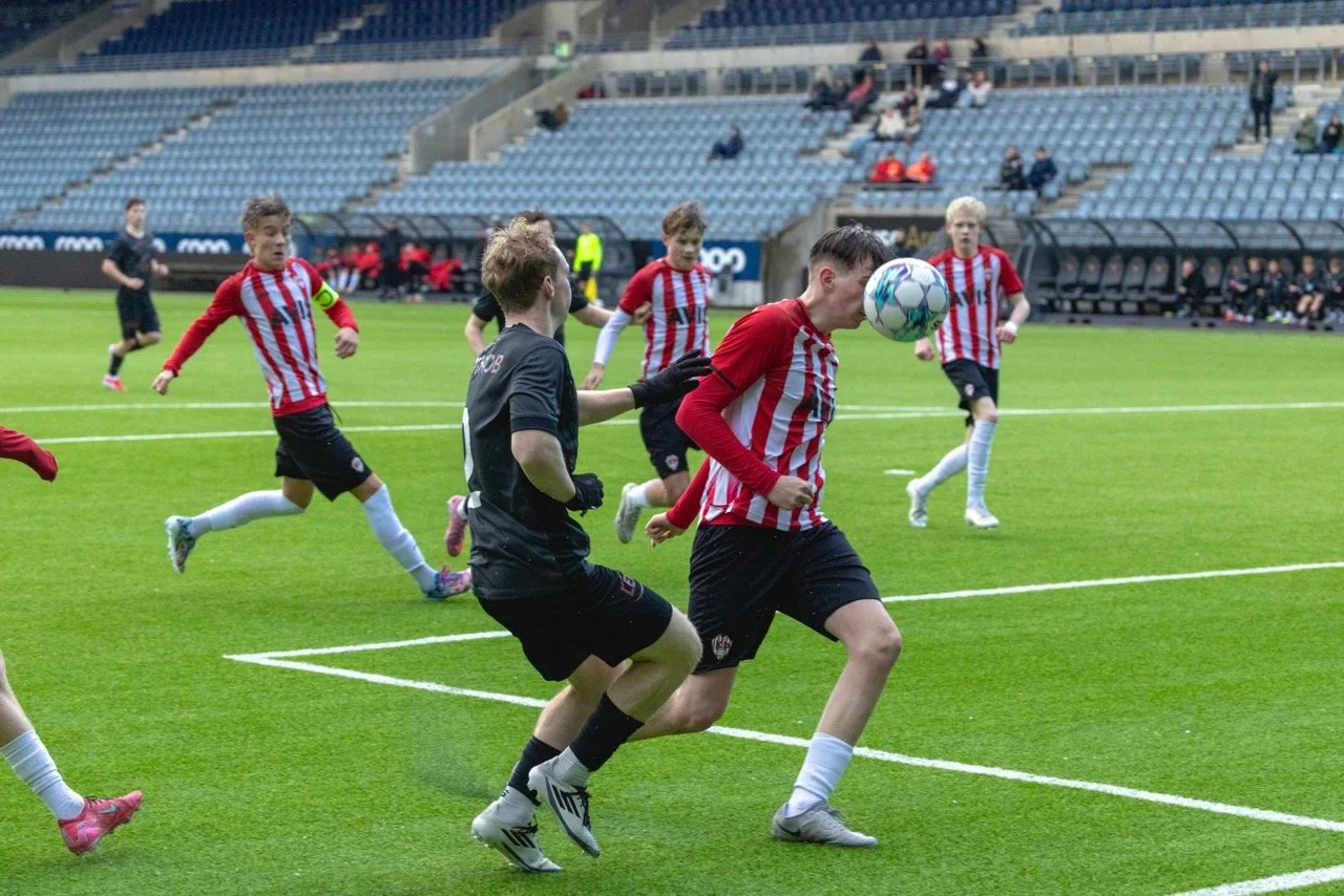 CP5A3170 – stort.jpeg